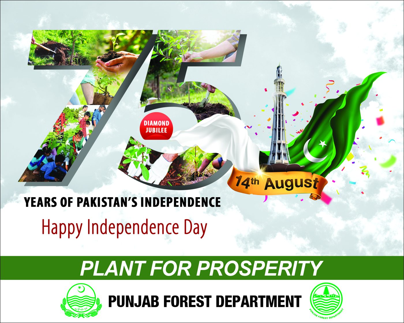Government of Punjab