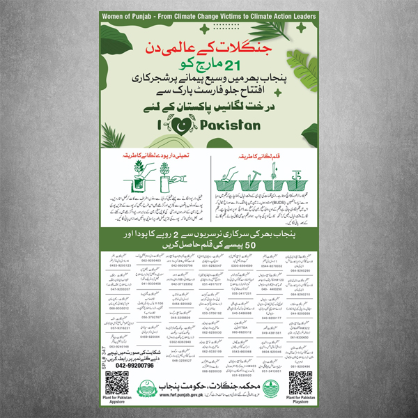 Forest Day Ad