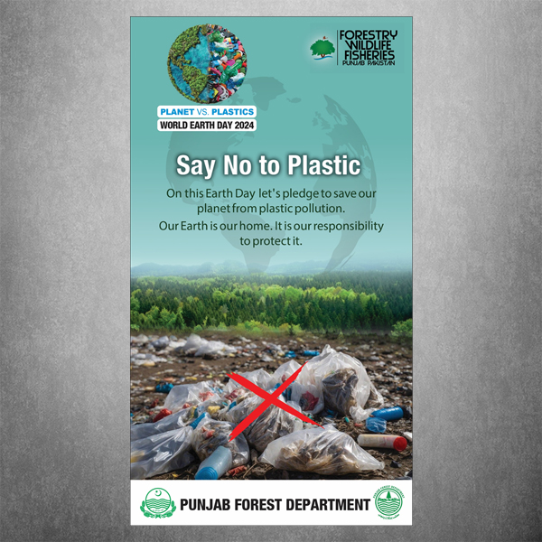 Say No to Plastic