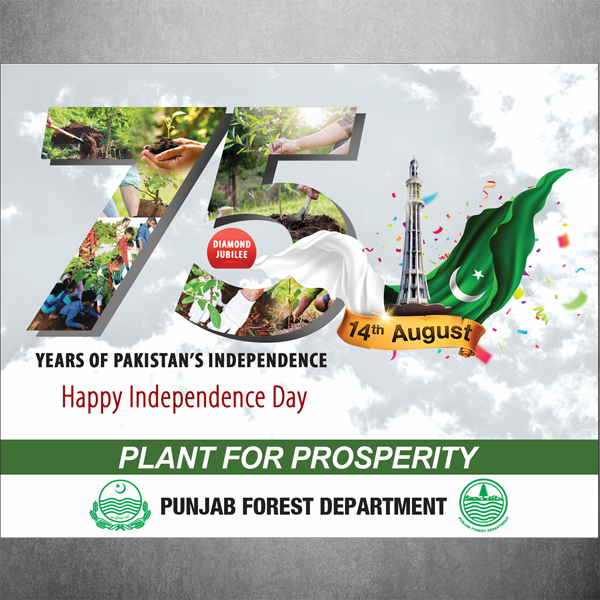 Forest Department